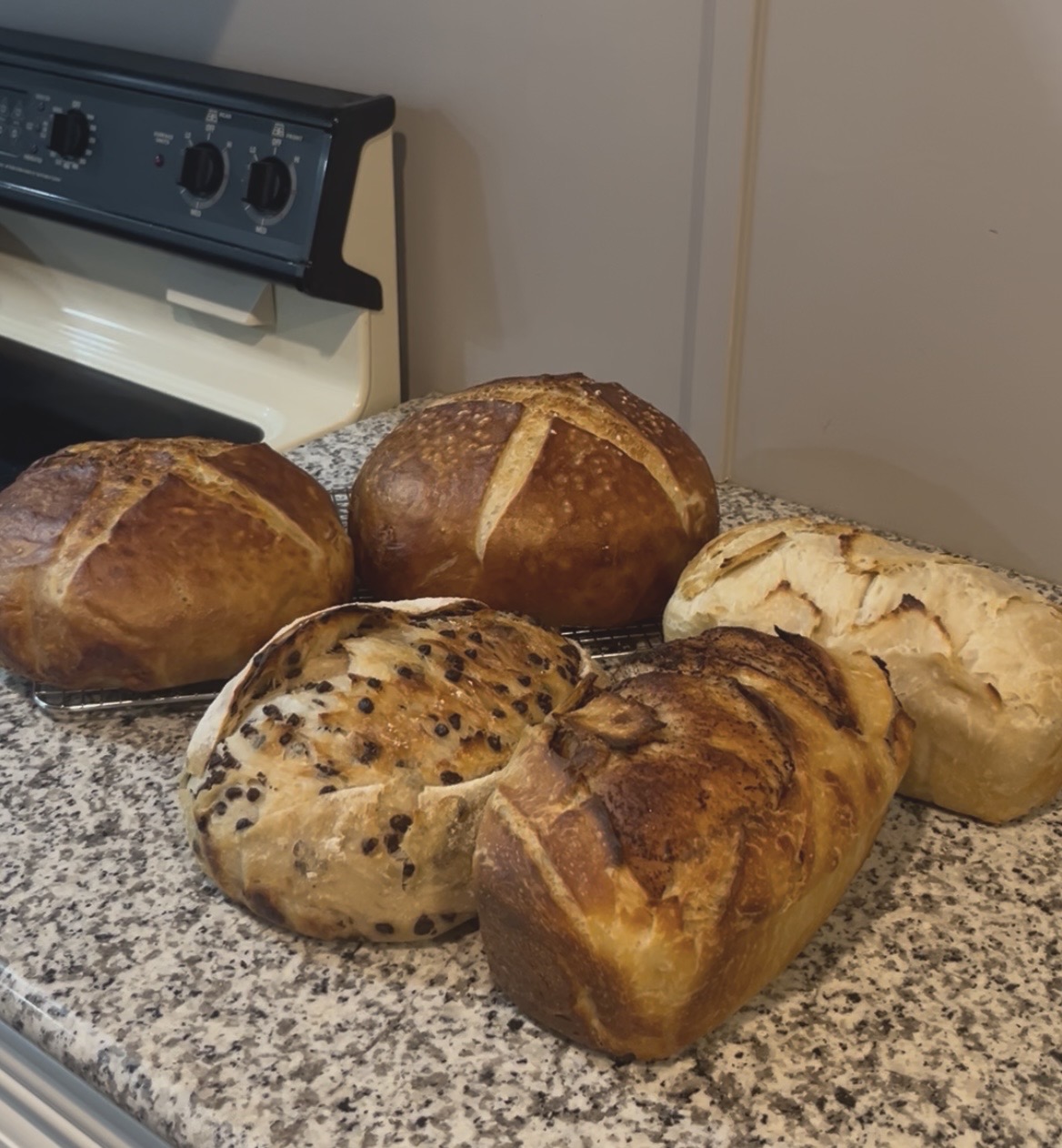 Assorted sourdough loaves on countertop